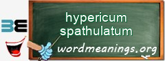 WordMeaning blackboard for hypericum spathulatum